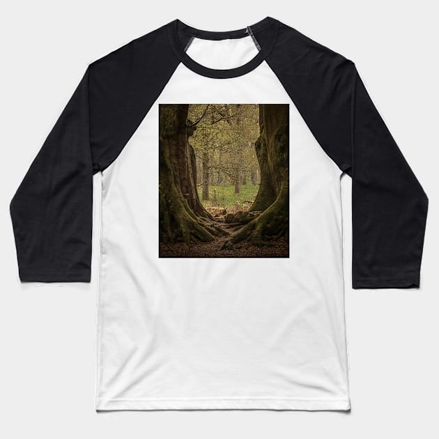 'The Witness Trees', Kinclaven Woods, Perthshire. Baseball T-Shirt by mucklepawprint